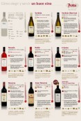 ¿Como elegir y servir un buen vino? En Protos te ayudamos a acertar