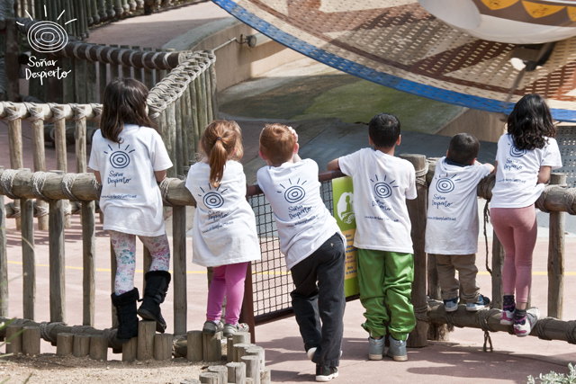 Brindis Solidario Protos - Campamentos de Verano 2020