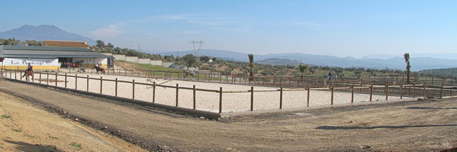 Brindis Solidario Protos - Hipoterapia, rehabilitación en FEPAMIC 