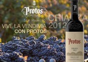 SORTEO VIVE LA VENDIMIA CON PROTOS EN REDES SOCIALES