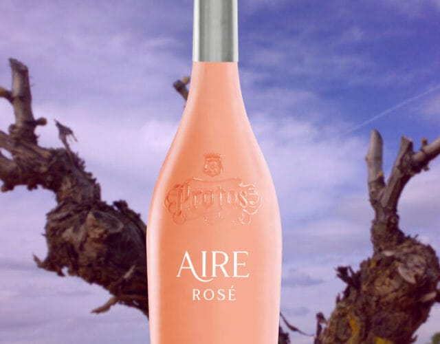Aire de Protos