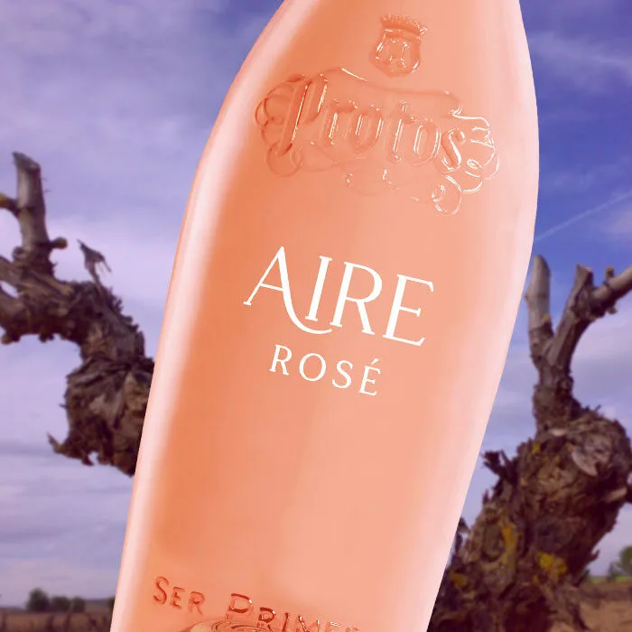 Aire de Protos