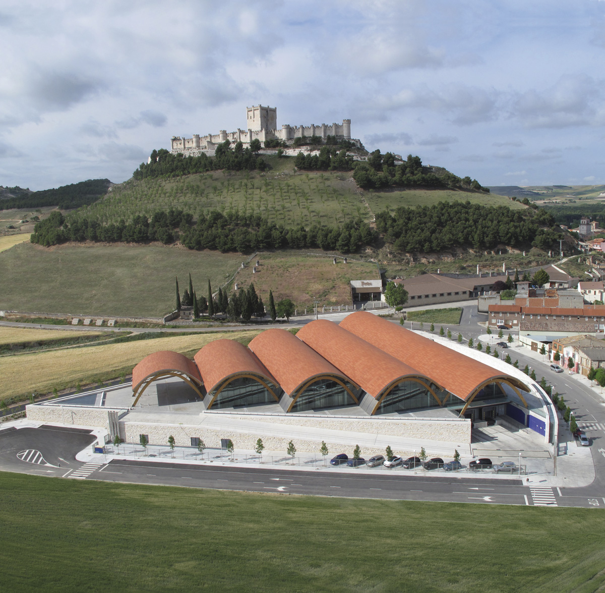 Protos D.O. Ribera del Duero