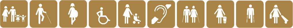 Iconos accesibilidad