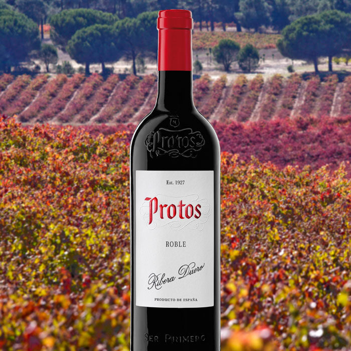 Protos Roble