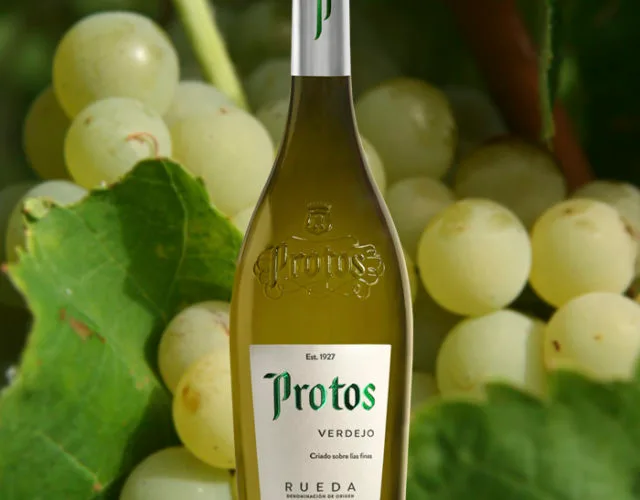 Protos Verdejo