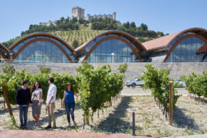 Enoturismo en España