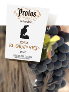 Protos El Grajo Viejo