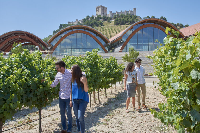 Jardin Variedades Protos