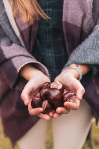 Maridajes de Otoño