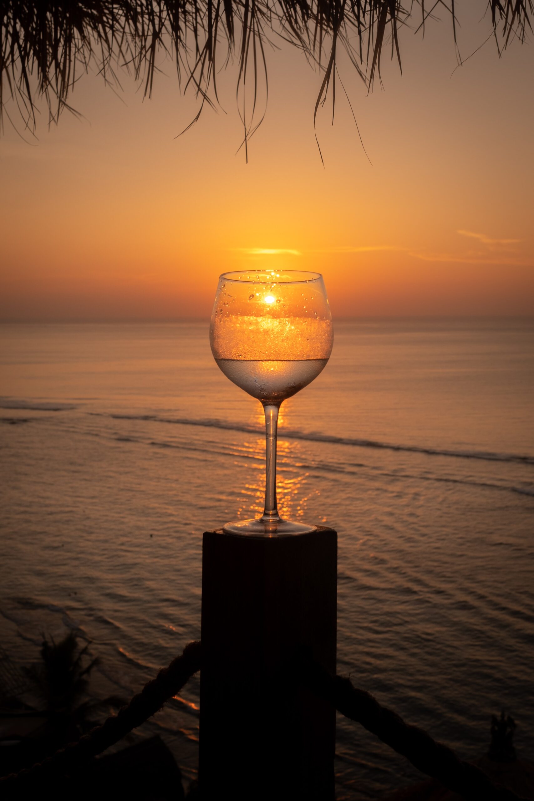 Playa y vino