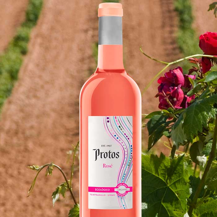 galeria-vinos-eco-rose