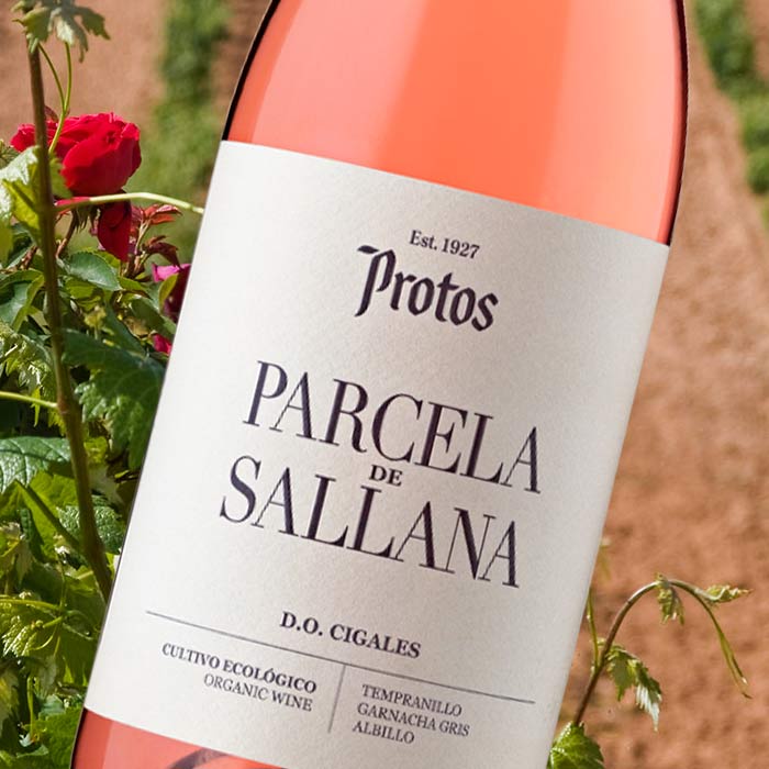 Parcela de Sallana