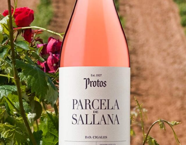 Parcela de Sallana