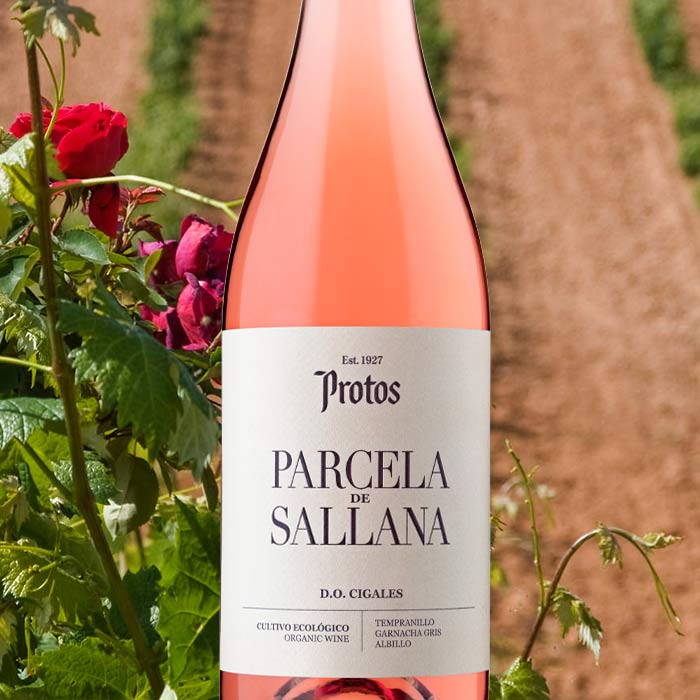 Parcela de Sallana