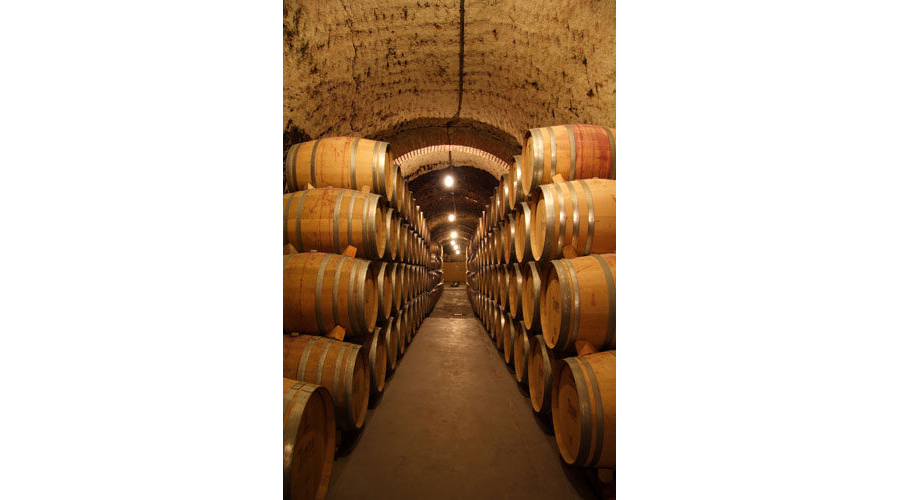 Barricas Bodegas Protos