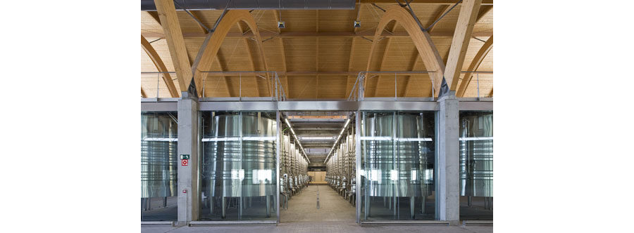Bodega Protos Peñafiel 5