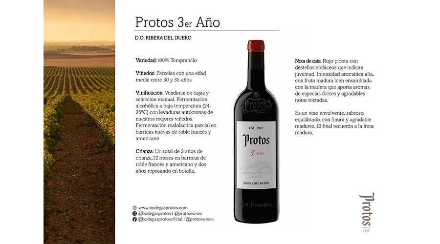 Ficha de cata Protos 3er Año