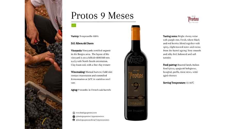 Tasting Sheet Protos 9M