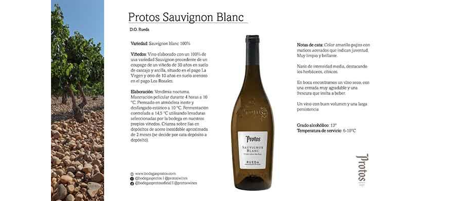Ficha de cata Protos Sauvignon Blanc