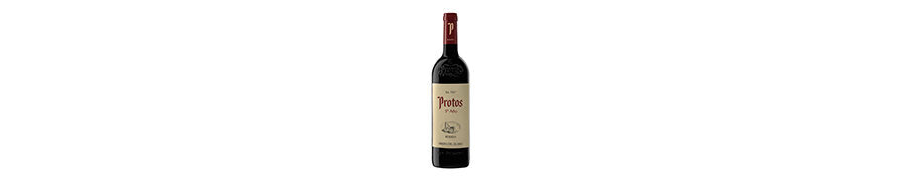 Protos 5º Año